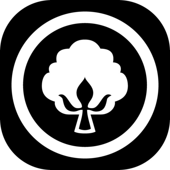 100% Lyocell 4-Jahreszeiten Bettdecke AFRICAN COTTON f.a.n. Frankenstolz