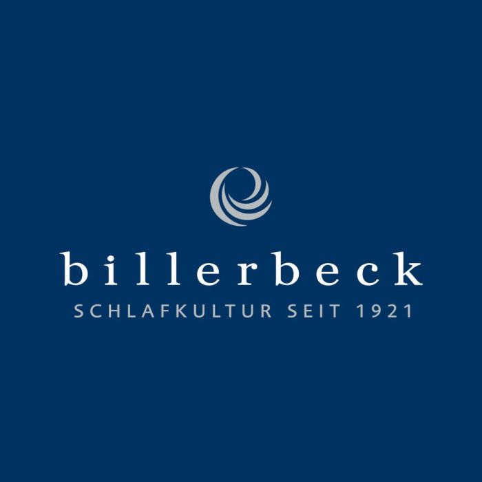 Luxus Sommerdecke 100% Seide SARI SUPERLIGHT von Billerbeck 40°C waschbar