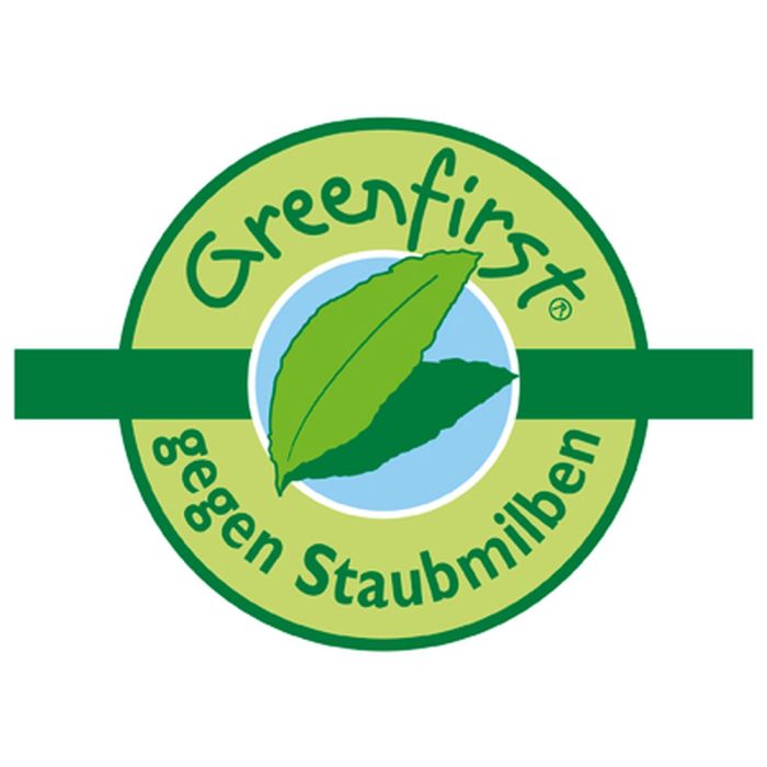 f.a.n. Visco Nackenkissen GREENFIRST Sleep + Care 60° waschbar