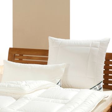 Lyocell Kopfkissen AFRICAN COTTON f.a.n. Frankenstolz